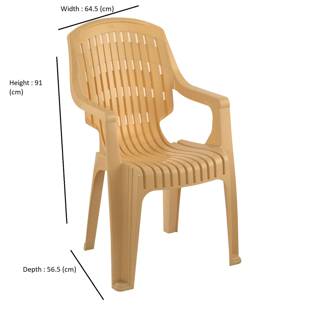 Main Image 11